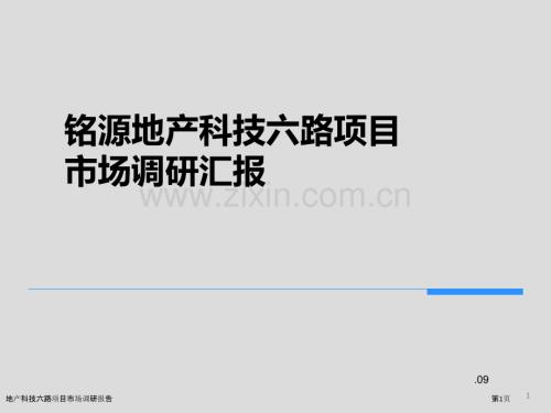 地產科技六路項目市場調研報告.pptx